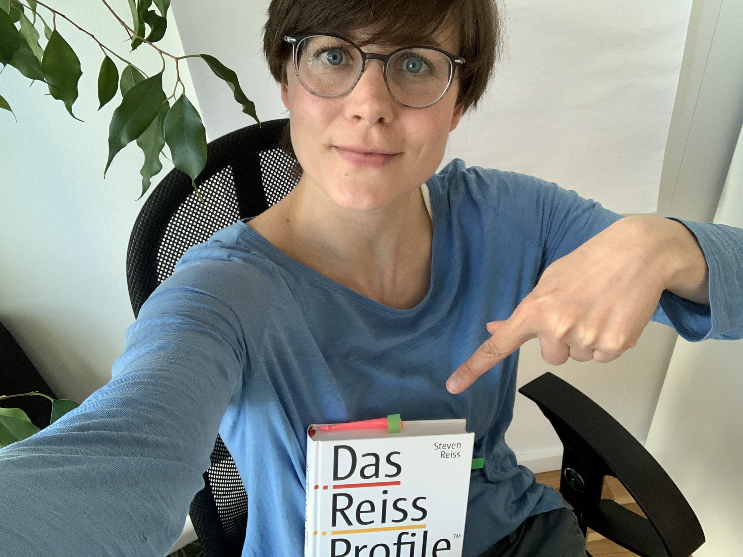 Eine Person, die eine Brille und ein blaues Hemd trägt, sitzt auf einem Stuhl und zeigt auf das Buch "Das Reiss Profile" von Steven Reiss.
