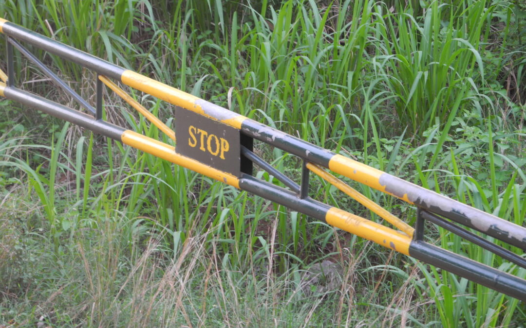 Die Grenzen des Reiss Motivation Profiles®