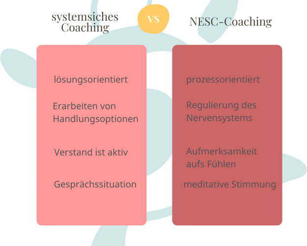 Übersicht: systemisches Coaching vs. NESC-Coaching