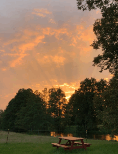 Sonnenuntergang in Orange und Gold