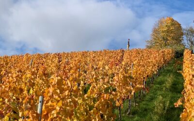 Monatsrückblick Oktober 2025: Viele Schritte und ein ganz wichtiger
