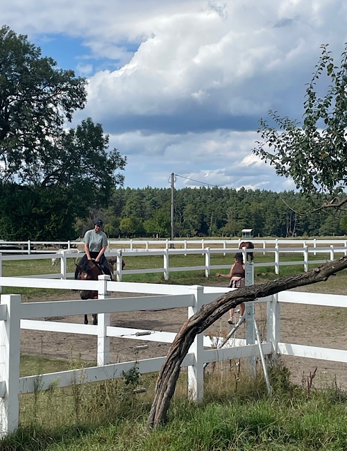 Zwei Personen reiten an einem sonnigen Tag in einer eingezäunten Reithalle, umgeben von Bäumen und unter einem teilweise bewölkten Himmel. Im Vordergrund sind ein weißer Holzzaun und ein gebogener Ast zu sehen.